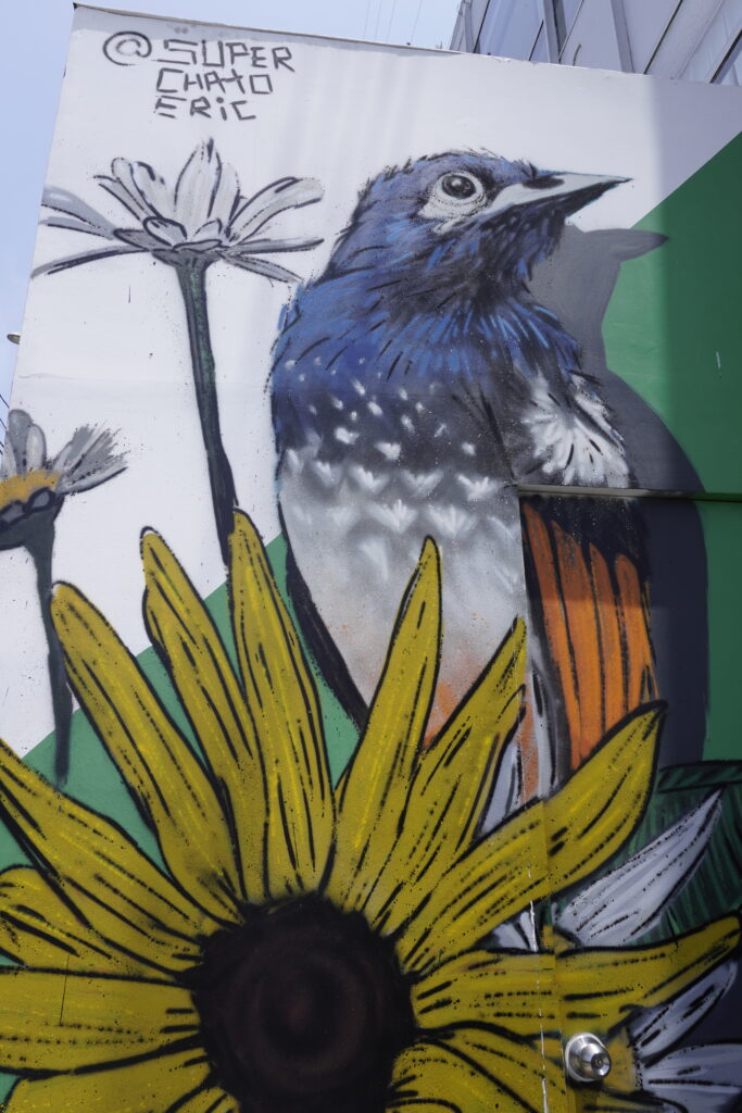 Blue Bird - Street Art Barranco - Lima Sehenswürdigkeiten