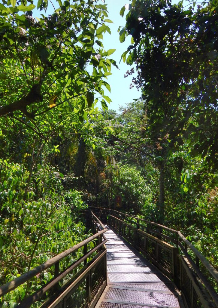 Wege durch den Iguazú Nationalpark