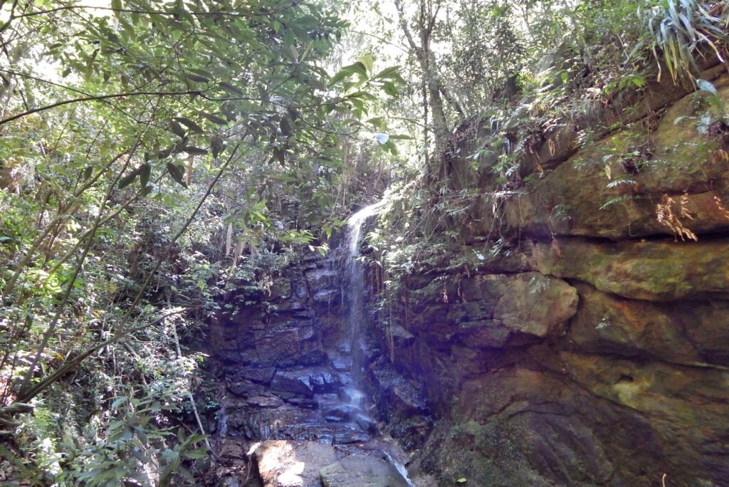 Cachoeira das Almas im Tijuca Nationalpark als Tagesausflüge von Rio de Janeiro