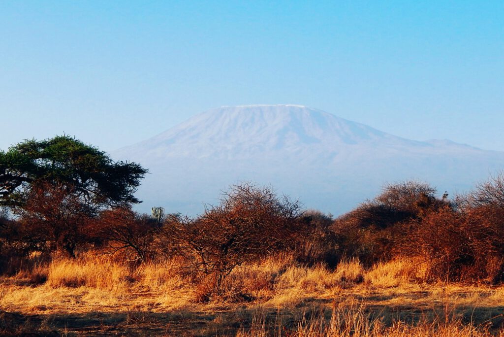 Amboseli Nationalpark - Kili