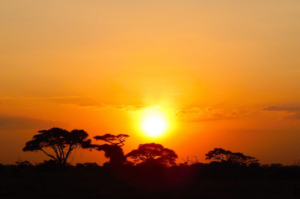 Amboseli Nationalpark - Sonnenuntergang