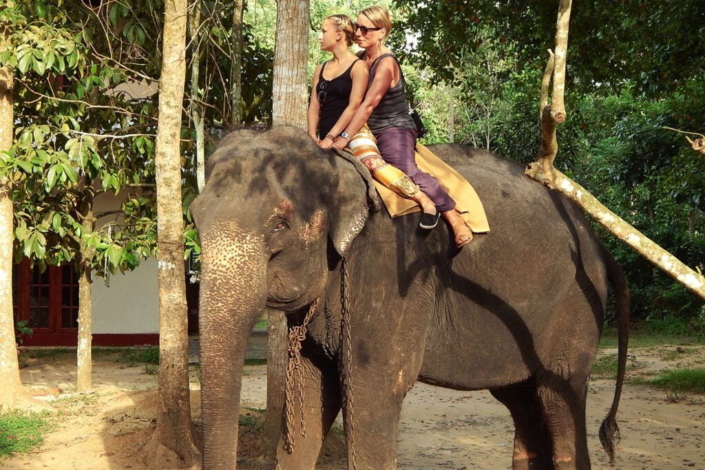 Urlaub mit Mama auf Sri Lanka