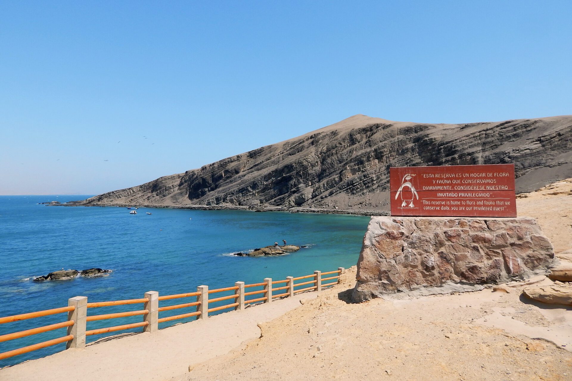 Paracas, Islas Ballestas & Huacachina