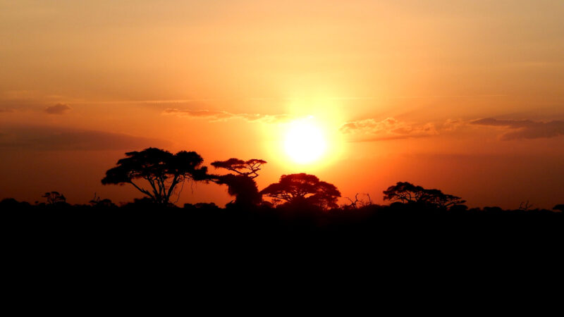 Afrika Thumbnail - 7 Reisetipps für Kenia