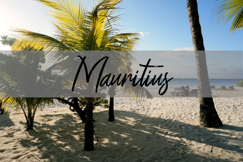 Mauritius - Palmen und Strand