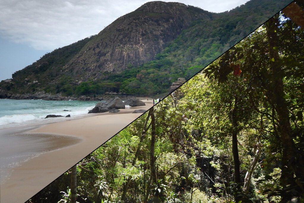 Rio de Janeiro Umgebung - Prainha & Tijuca Nationalpark