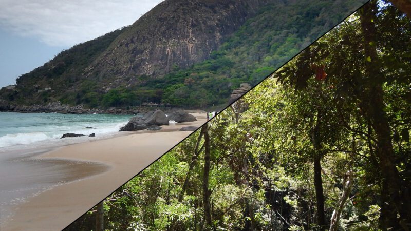 Rio de Janeiro Umgebung - Prainha & Tijuca Nationalpark
