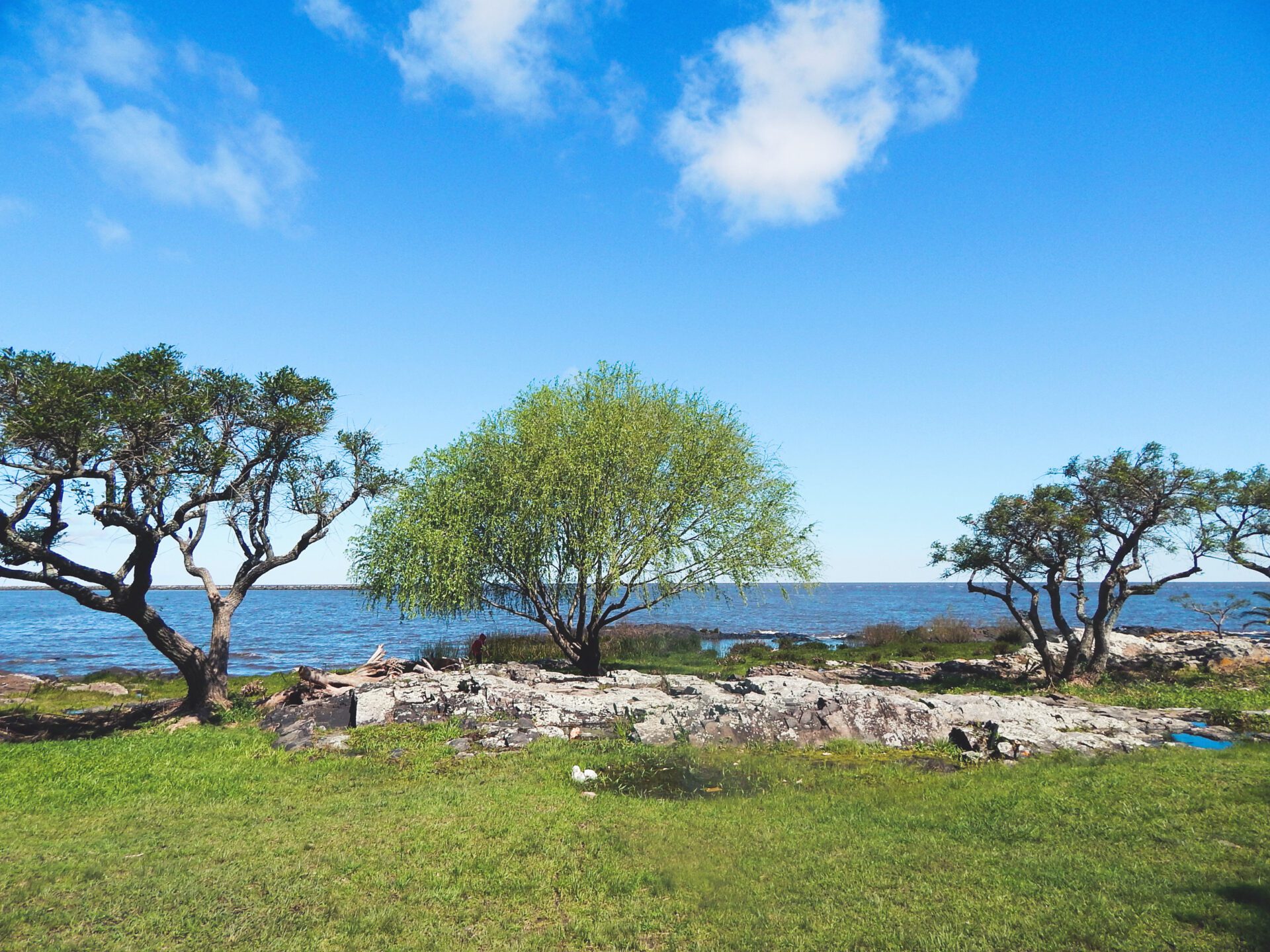 Uruguay - Rio de la Plata in Colonia del Sacramento
