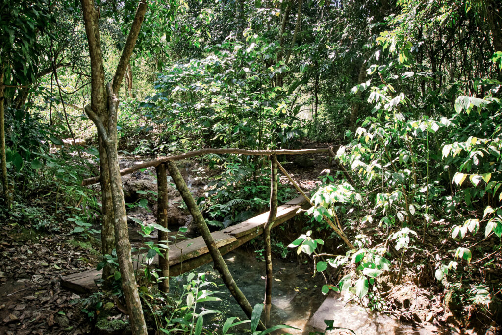 Parque El Nicho - Wanderwege