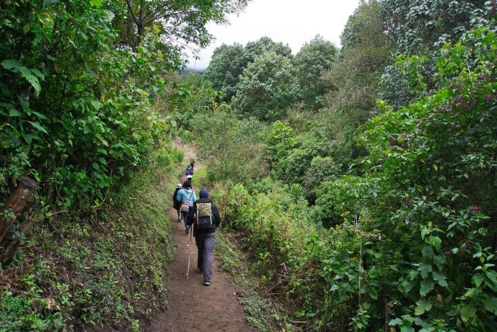 Weg zum Vulkan in Guatemala: Die Acatenango Wanderung