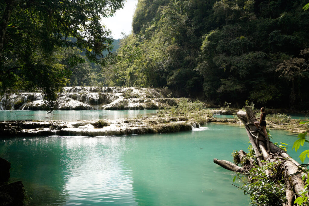 Die natürlichen türkisen Pools von Semuc Champey in Guatemala
