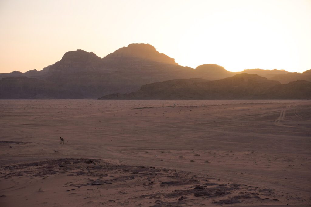 Das Jordanien Highlight ist eine Wadi Rum Tour durch die Wüste
