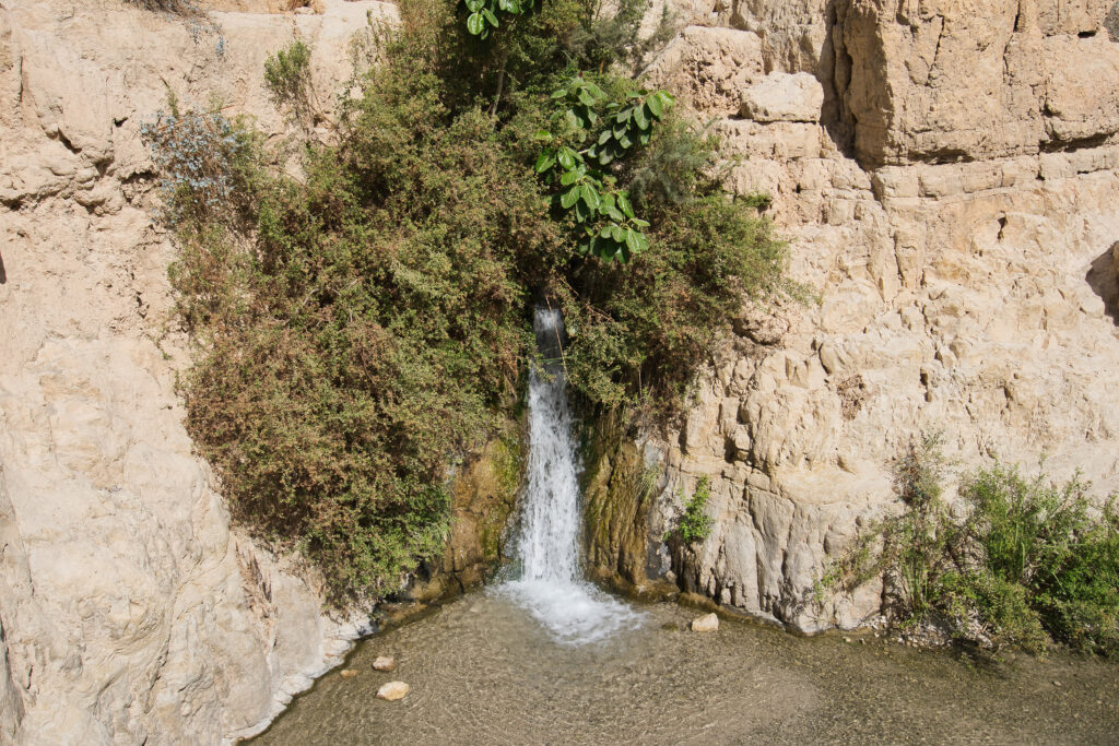 En Gedi Nature Reserve, Totes Meer Israel