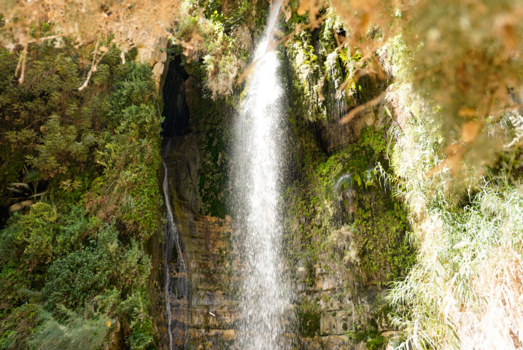 Der David Wasserfall im En Gedi Nature Reserve, Totes Meer Israel