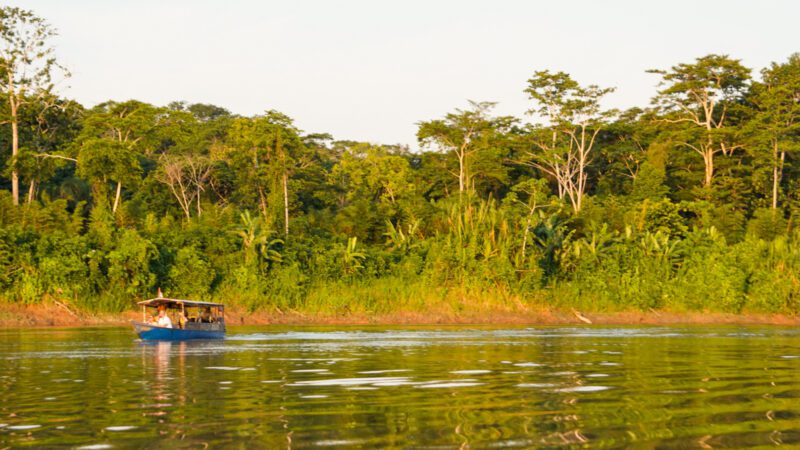Der Rio Tambopata fließt durch den Tambopata Nationalpark in Peru