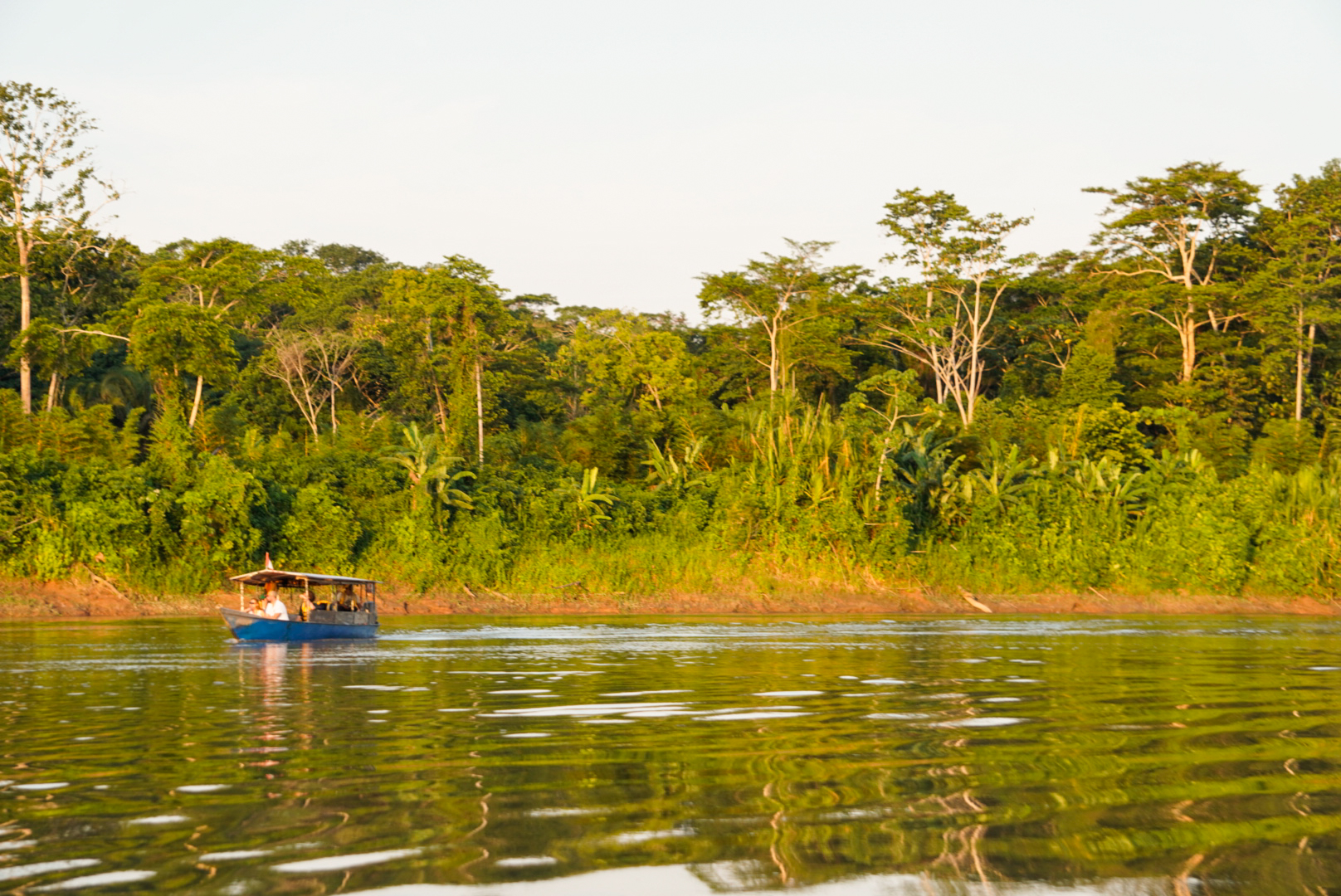 Der Rio Tambopata fließt durch den Tambopata Nationalpark in Peru
