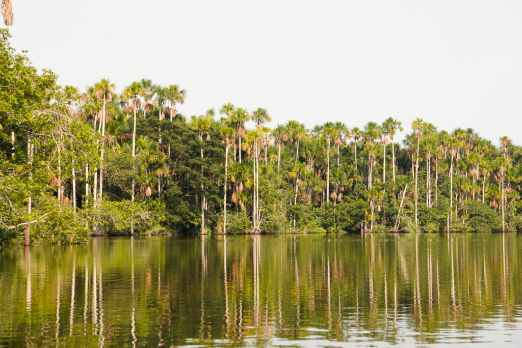 Der Lago Sandoval ist ein Teil des Tambopata Nationalparks