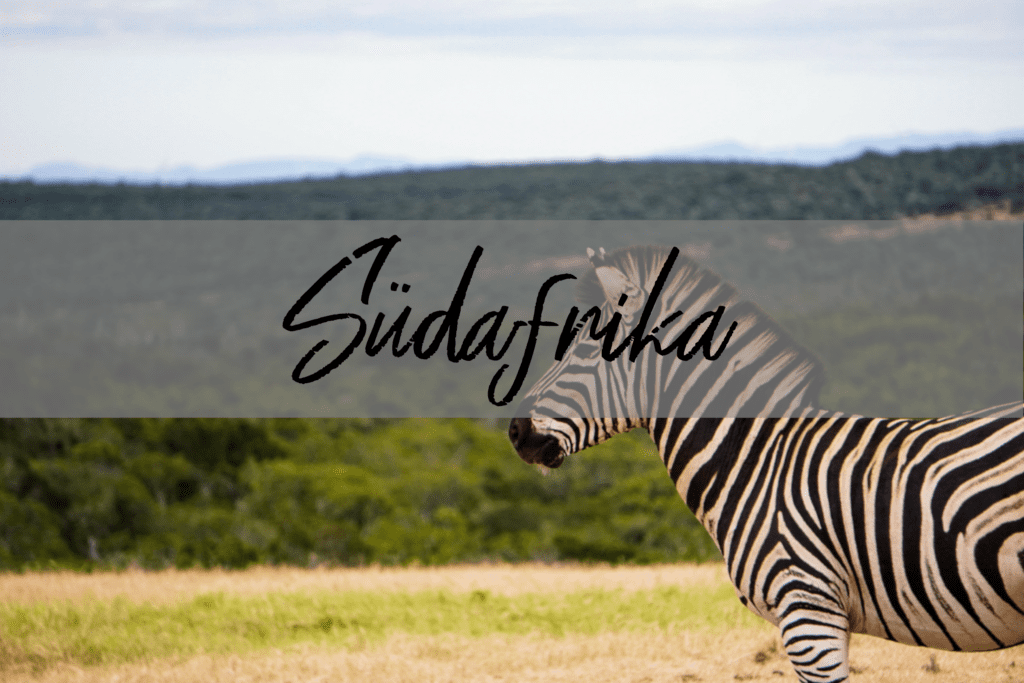 Afrika Reise: Südafrika Reisetipps