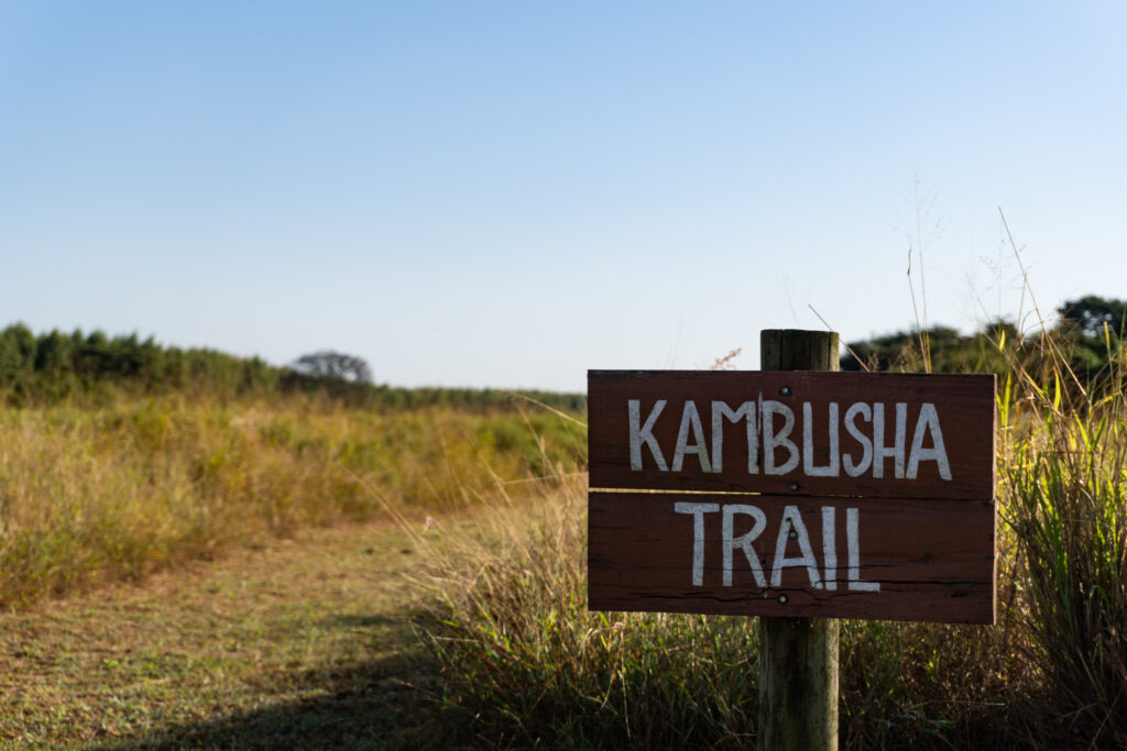 Kambusha Trail im Hluhluwe Camp
