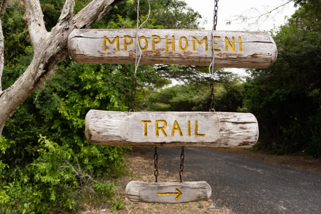 Mpophomeni Trail in False Bay im iSimangaliso Wetland