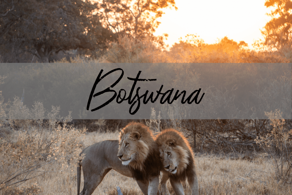 Afrika Reise: Botswana Reisetipps