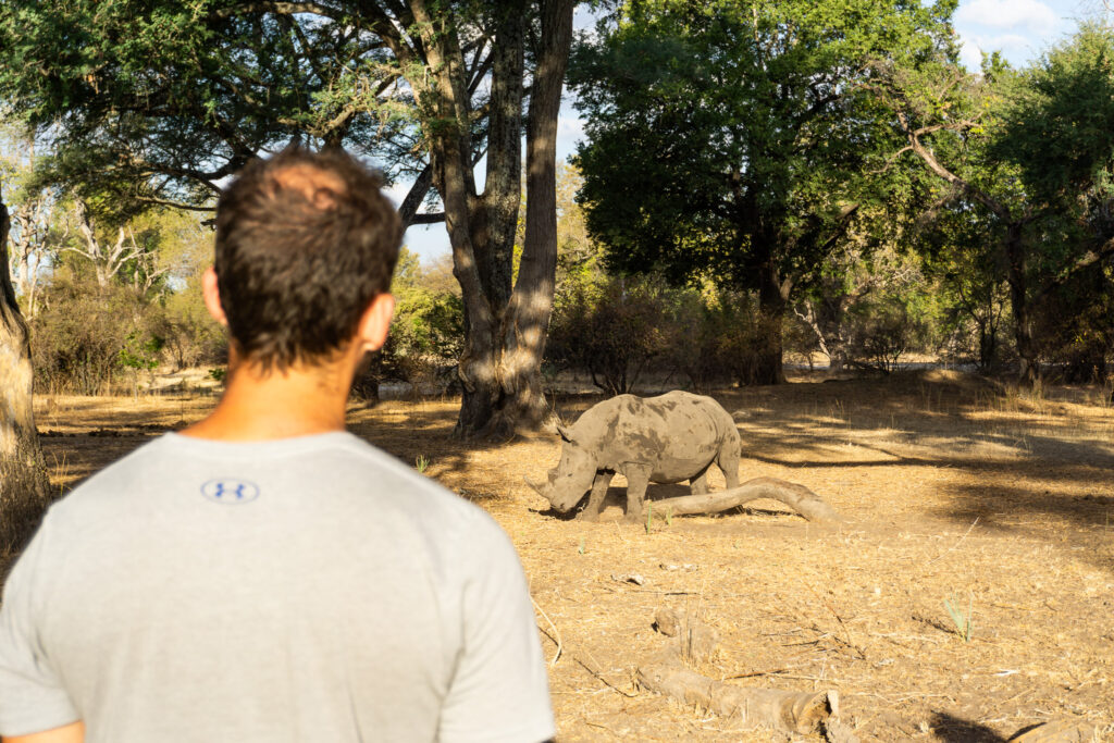Nashorn Safari in Livingstone Sambia