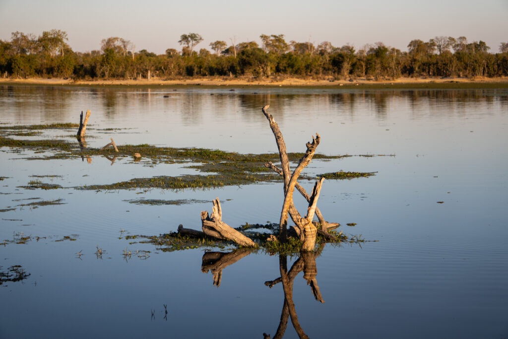 Landschaft im Okavango Delta in Botswana