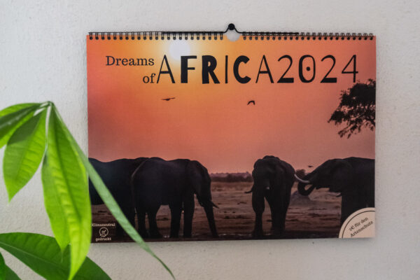 Produktfoto Dreams of Africa Kalender