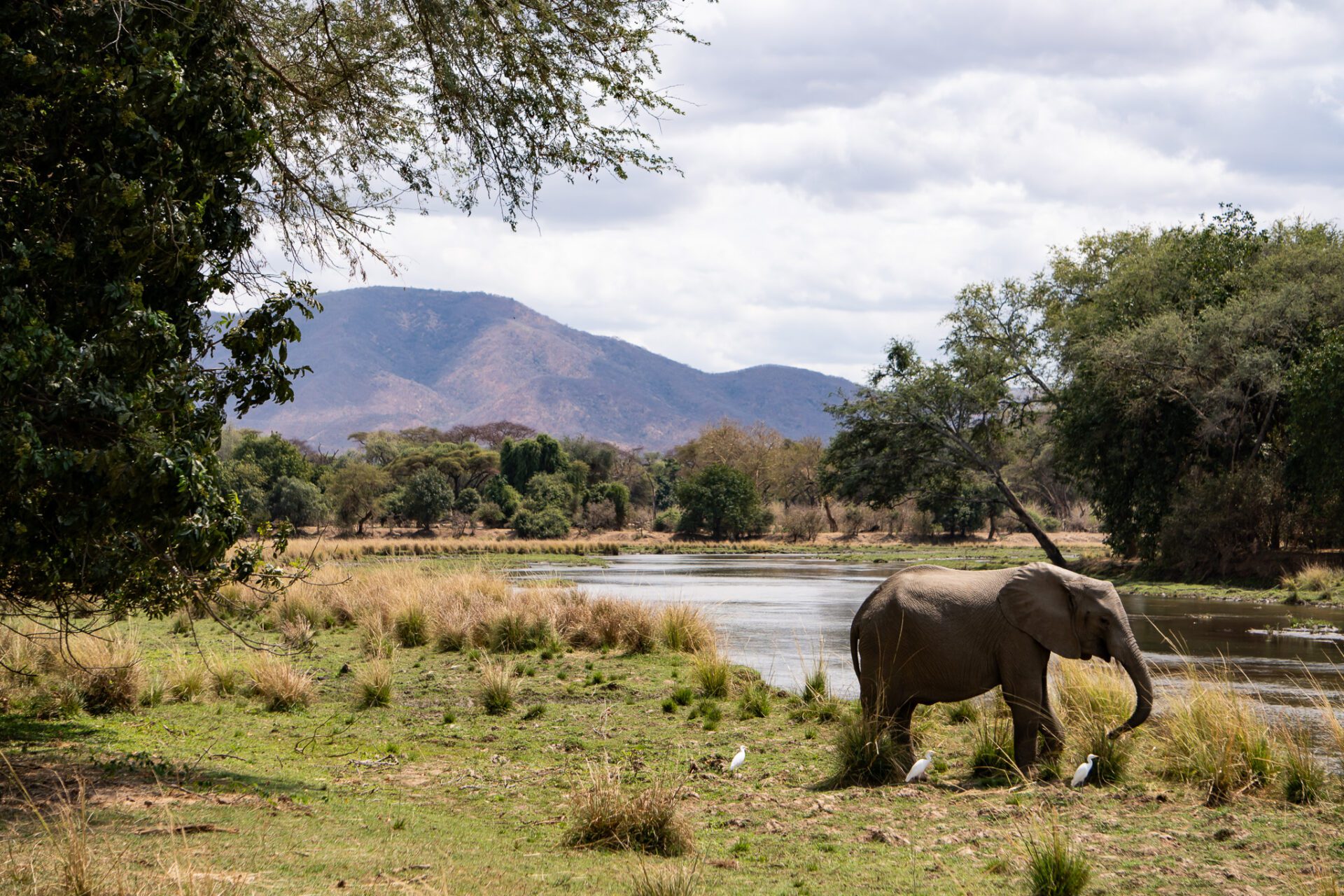 Lower Zambezi 3 Erlebnisse für deine Sambia Reise