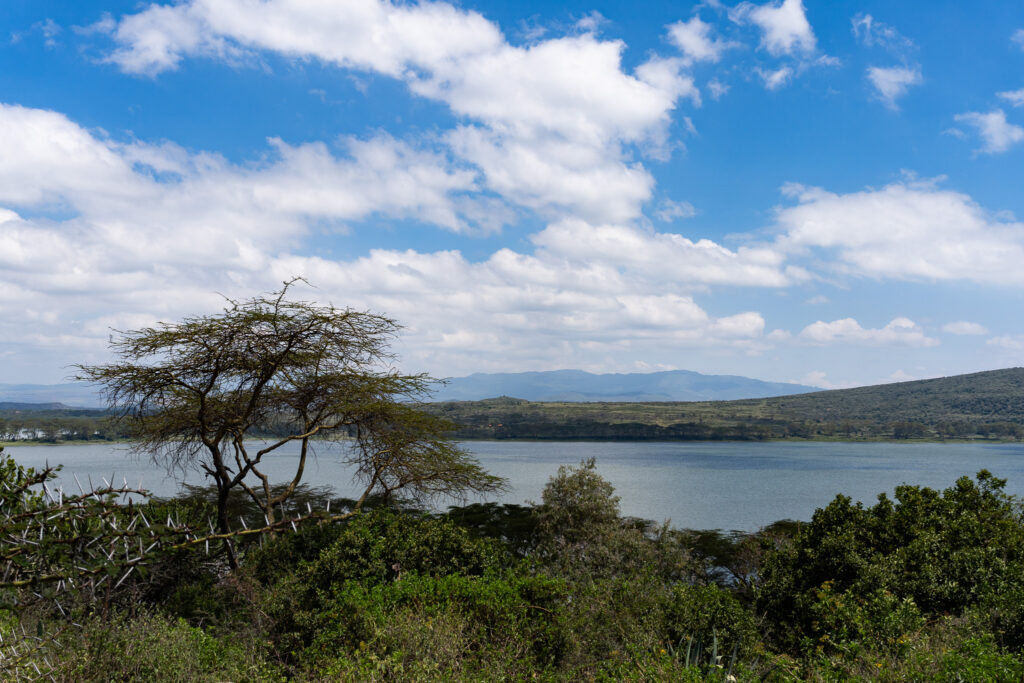 Blick auf den Lake Naivasha auf einer Kenia Rundreise