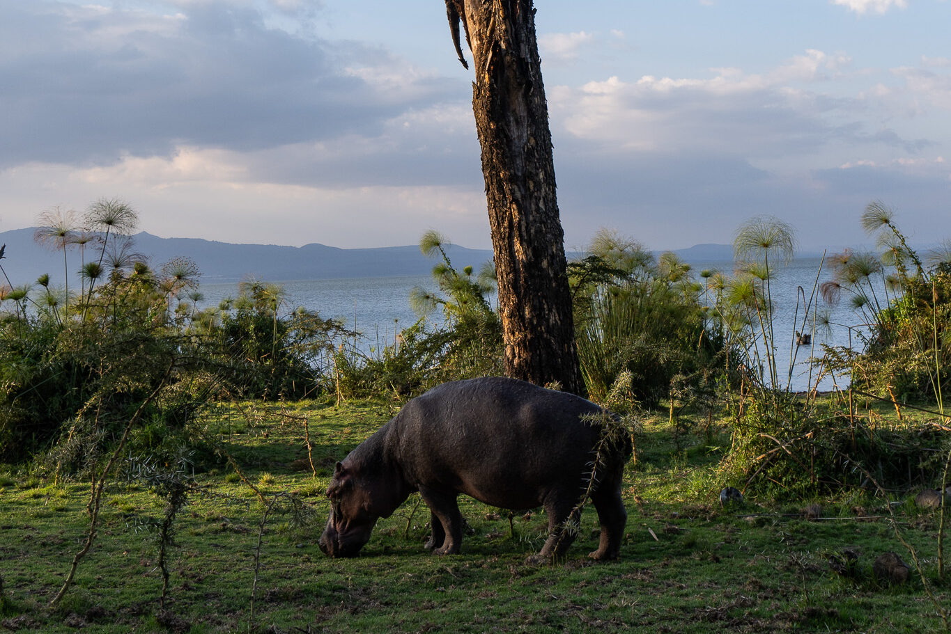 Kenia Rundreise Per Camping Roadtrip quer durchs Land