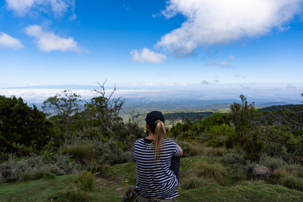 Wanderung im Mount Kenya Nationalpark in Kenia