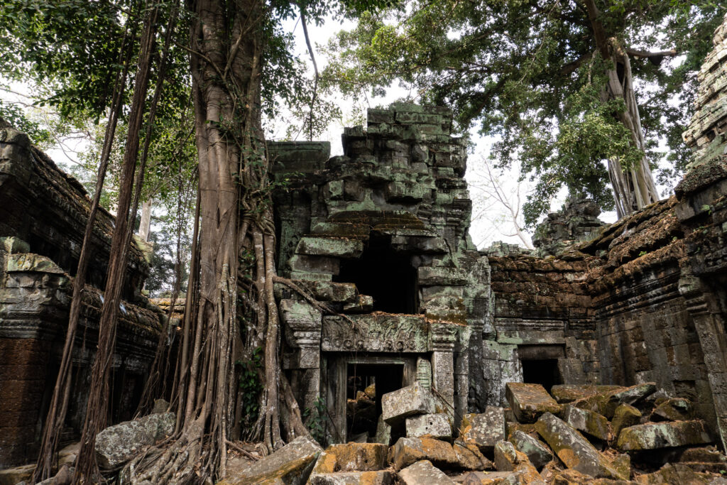 Ta Prohm in Angkor bei Siem Reap, Kambodscha