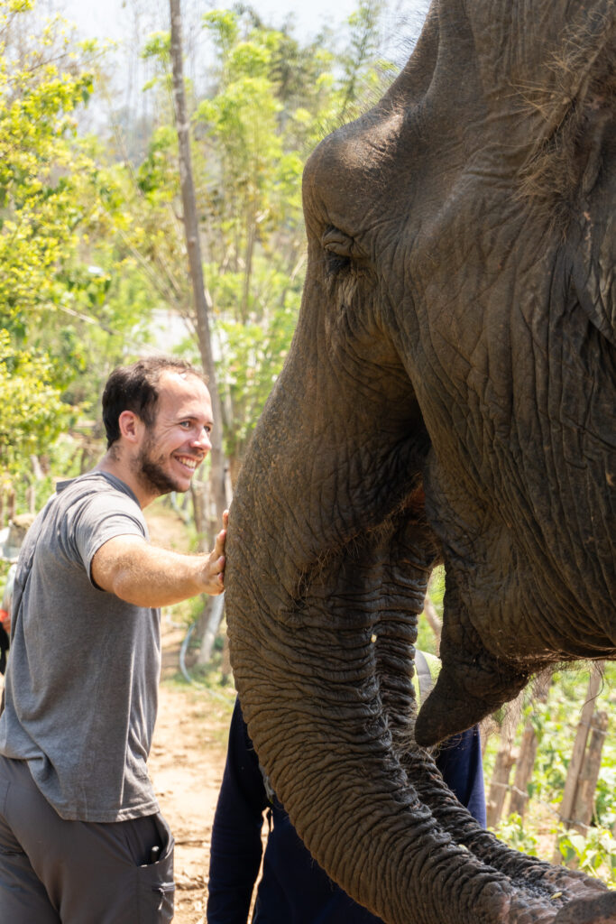 Spaziergang mit Elefanten in Laos