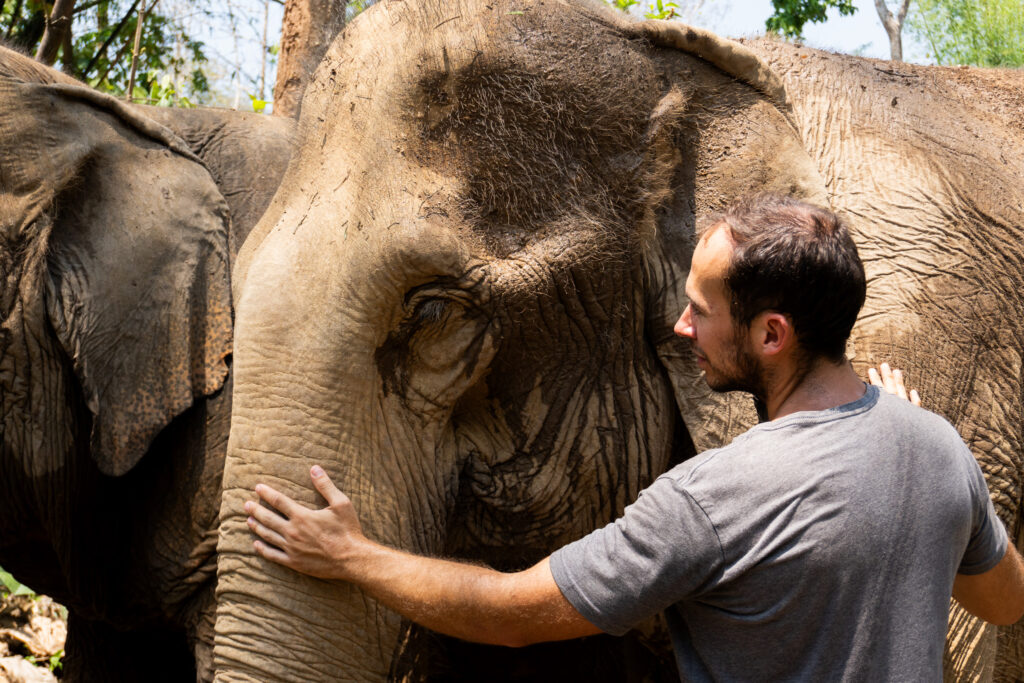 Elefanten in Laos hautnah und artgerecht erleben bei MandaLao