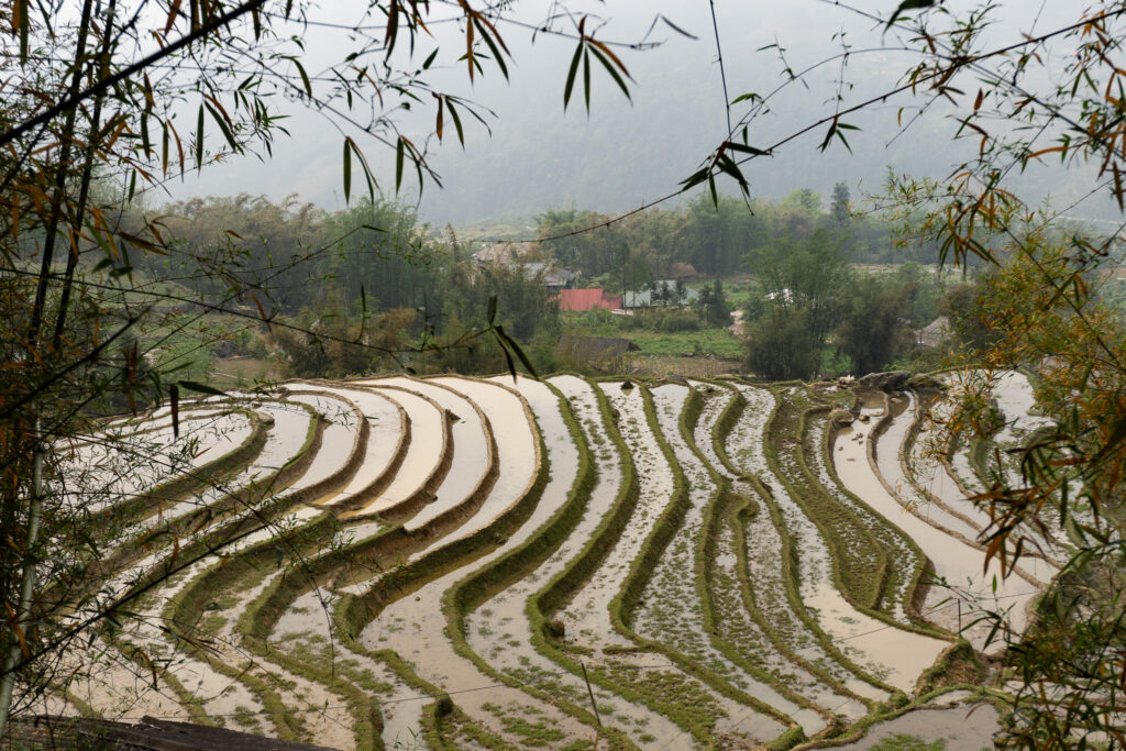Blick auf Reisterrassen im Muong Hoa Tal