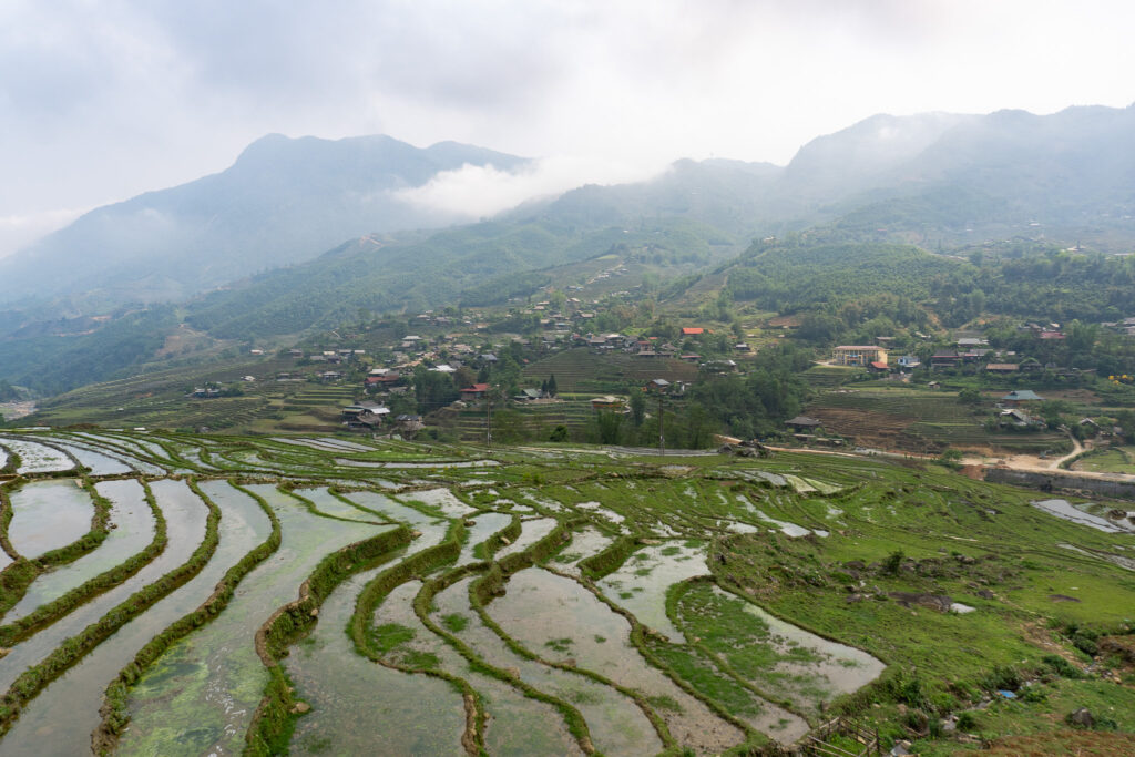 Reisfelder im Muong Hoa Tal in Sapa Vietnam