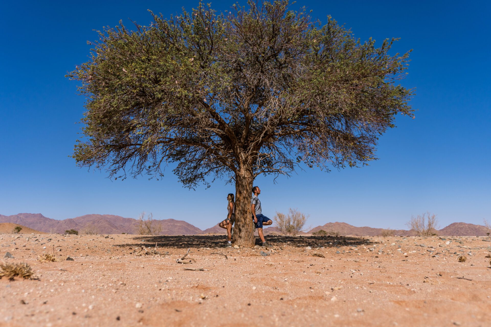 Ubuntu - Durch Afrika zurück zum Wir: Foto zum Buch
