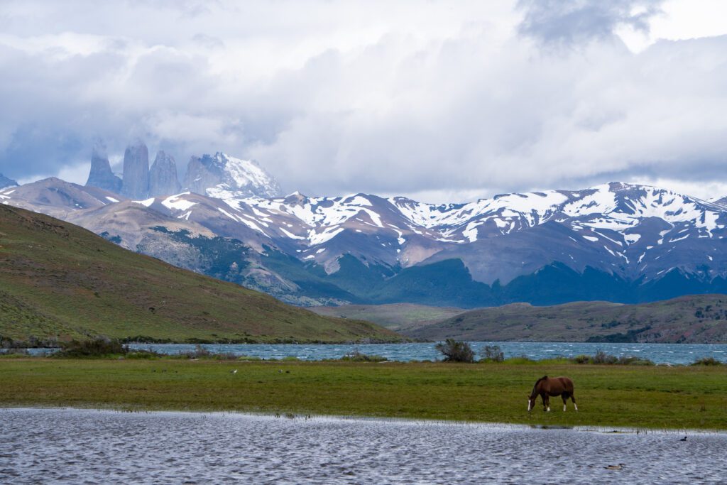 Pferde vor der Laguna Azul im Torres del Paine Nationalpark