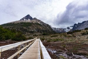 Die Inselgruppe Feuerland ist geprägt von schroffer Natur