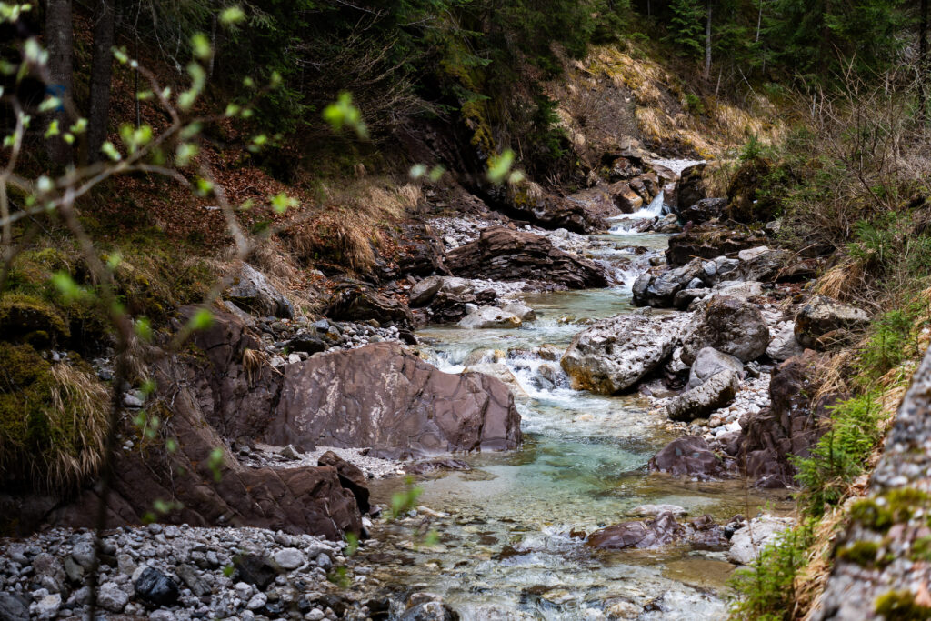 Bachlauf bei Auronzo di Cadore in den Dolomiten Italien