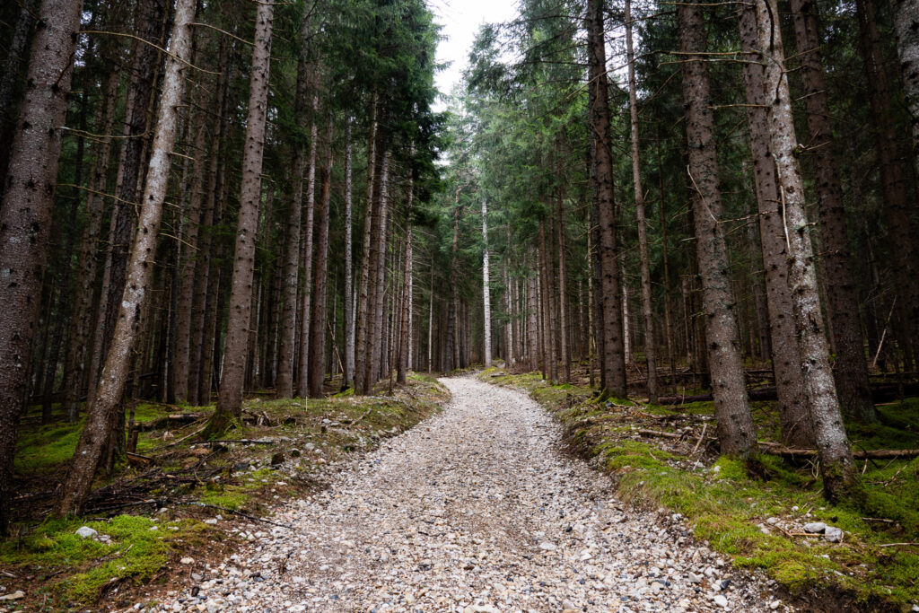 Wanderweg zum Monte Agudo in Auronzo di Cadore in den Dolomiten Italien