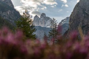 Blick auf die Drei Zinnen in den Dolomiten, Italien im Frühling