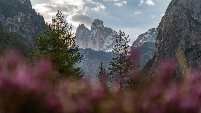 Blick auf die Drei Zinnen in den Dolomiten, Italien im Frühling