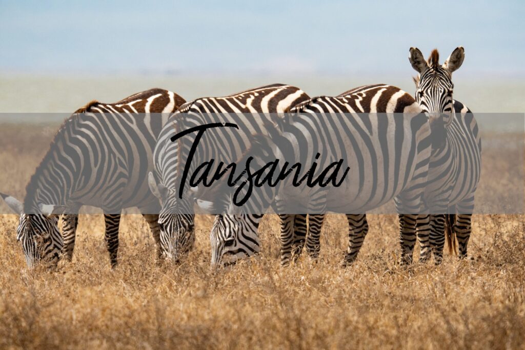 Afrika Reise: Tansania Reisetipps