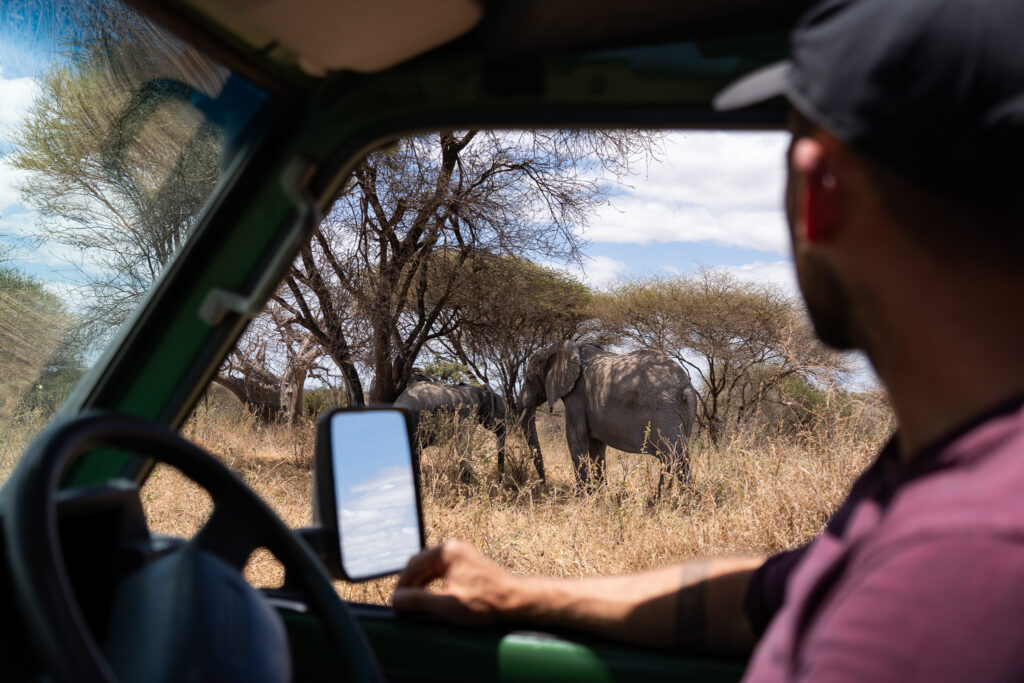 Elefanten im Tarangire als Selbstfahrer in Tansania