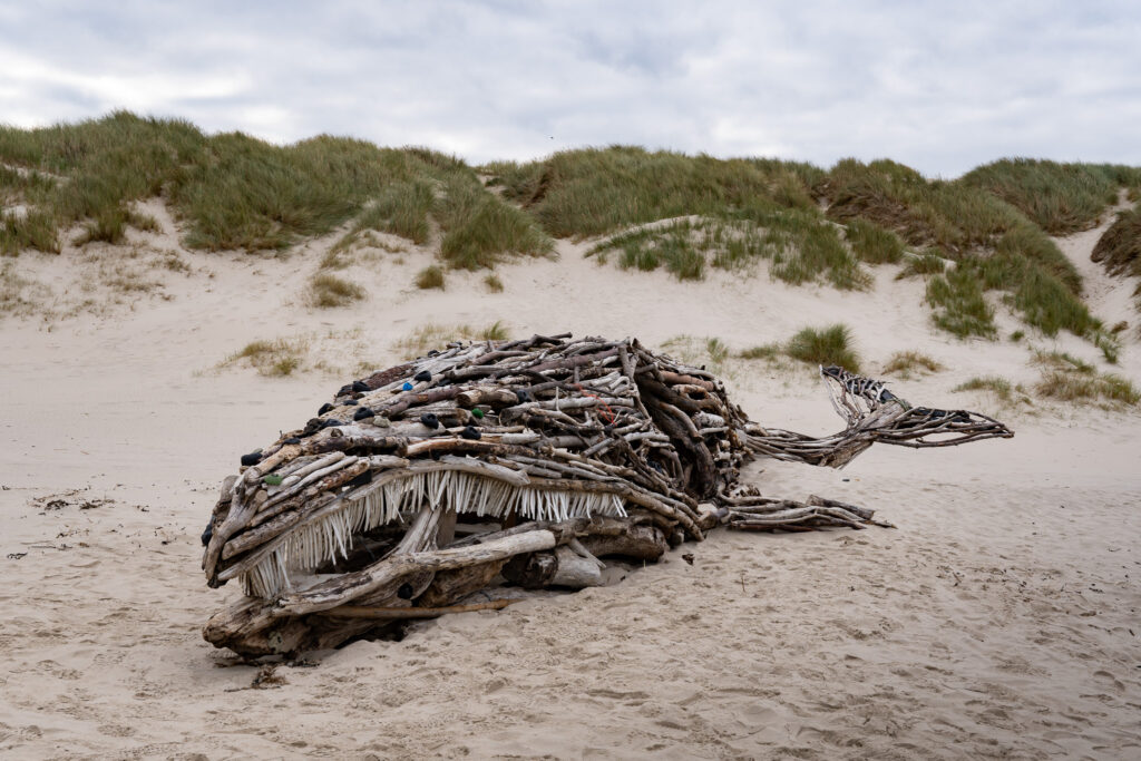 Grauwal Nachbildung am Vejers Strand auf einem Dänemark Camping Roadtrip