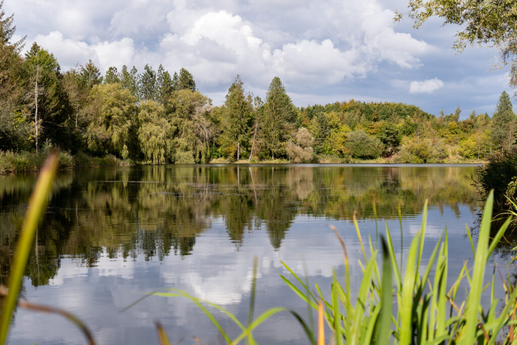 Zwischenstopp auf einem Dänemark Camping Roadtrip: Tarup Davinde