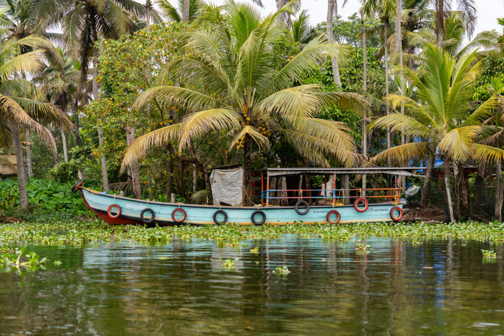 Buntes Boot in den Alleppey Backwaters in Kerala in Indien
