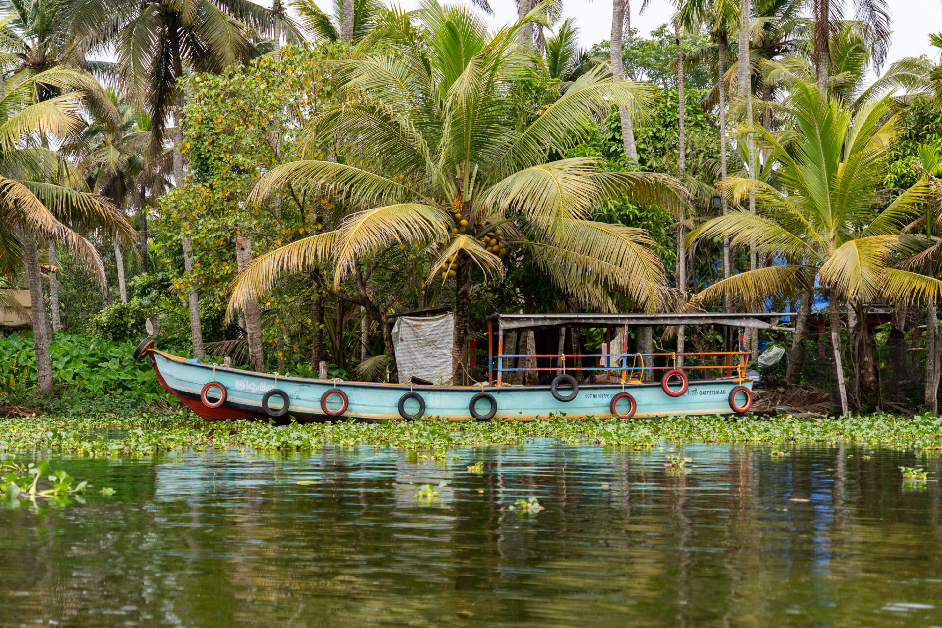Buntes Boot in den Alleppey Backwaters in Kerala in Indien